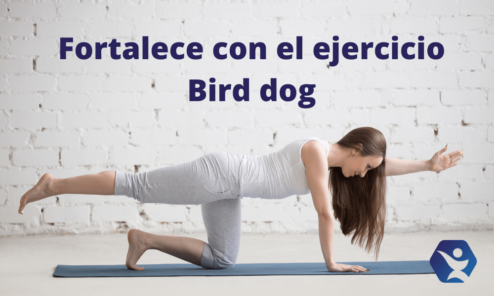 Conoce el bird dog ejercicio para fortalecer